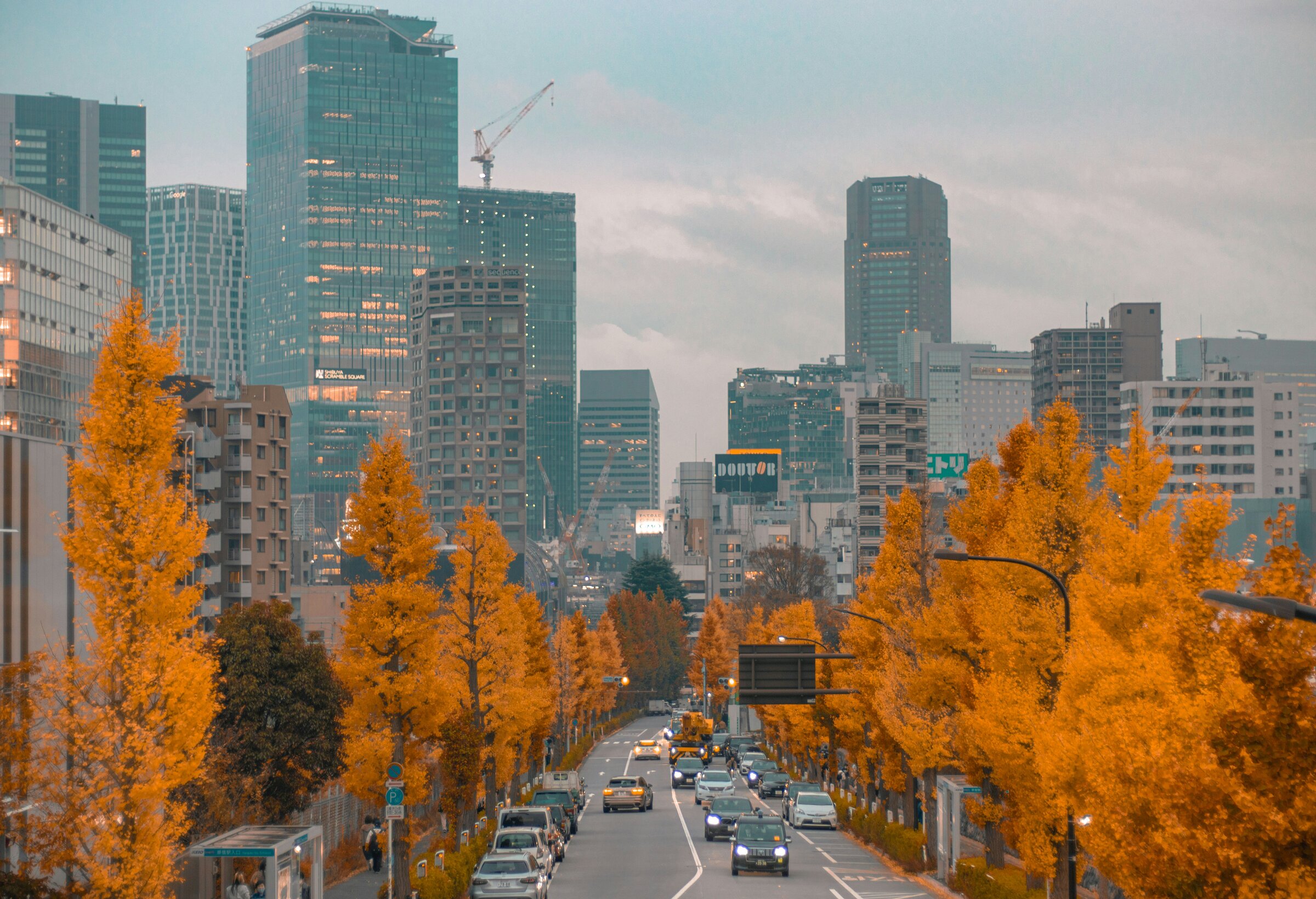 Leadership People Moves Report: Autumn 25